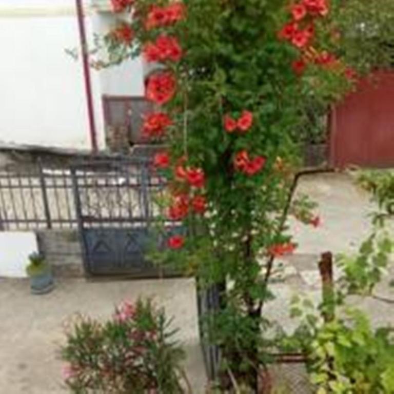 Guest House Quiet Home Batumi Exterior photo